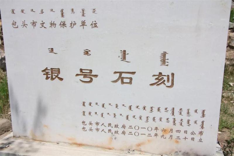 砥砺奋进新时代 同心共创新辉煌 | 新闻传播学院“三下乡”成长日记第五篇